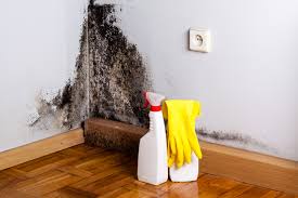 Best Asbestos and Lead Testing During Mold Inspection  in Snowflake, AZ